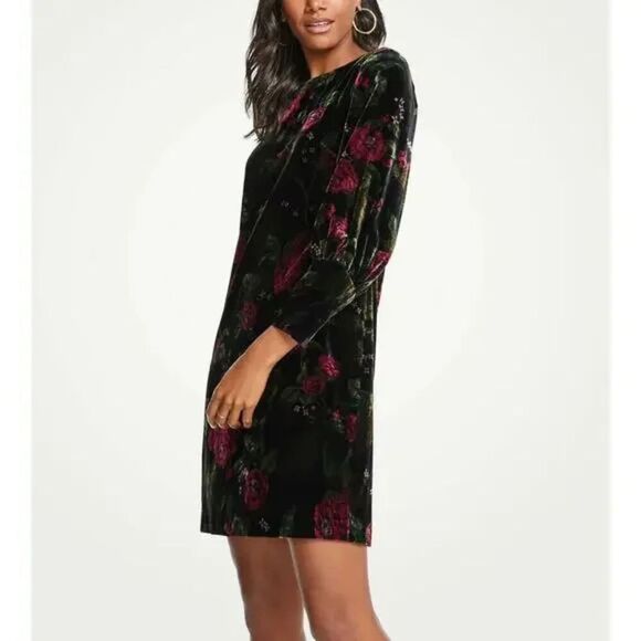 Ann Taylor Dresses & Skirts - Ann Taylor Black w/Multicolor Floral Velvet Knee Length Shift Dress size 12
